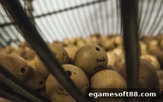 电子游戏软件深度解析：彩票热号与冷号的走势分析