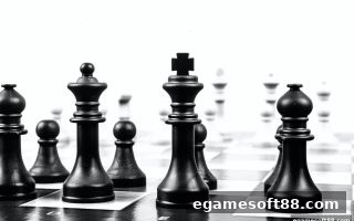 电子游戏软件深度解析：国际象棋棋子兑换中的价值与信誉度
