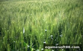 揭秘电子游戏软件平台代理返佣福利政策：新用户必读指南