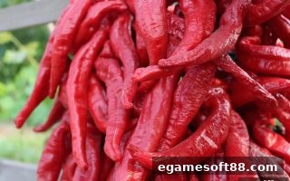 电子游戏软件揭秘：推牌九老用户红包回馈活动参与全攻略