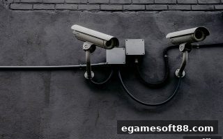 电子游戏软件深度解析：娱乐平台微信支付的风险识别与安全指南
