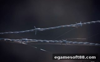 电子游戏软件充值防坑指南：银行卡支付安全性的深度解析