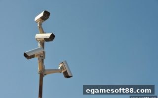 电子游戏软件视角：反水比例的双面性深度剖析——以五龙争霸平台为蓝本