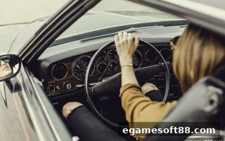 电子游戏软件视角：飞禽走兽电子游艺的数据指标全景解读